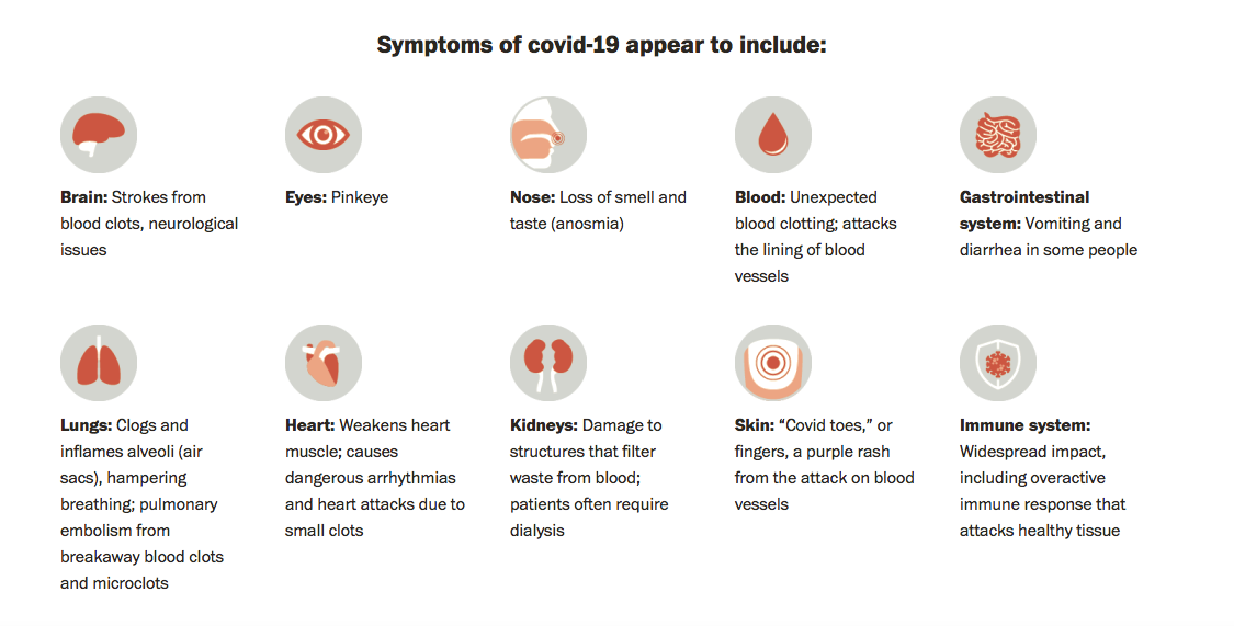 Graphic of 10 different body systems that Covid can affect. Each system has a simplified image to represent that system. The text says: Brain: Strokes from blood clots, neurological issues Eyes: Pinkeye Nose: Loss of smell and taste (anosmia) Blood: Unexpected blood clotting, attacks the lining of blood vessels Gastrointestinal system: Vomiting and diarrhea in some people Lungs: Clogs and inflames alveoli (air sacs), hampering breathing; pulmonary embolism from breakaway blood clots and microclots Heart: Weakens heart muscle; causes dangerous arrhythmias and heart attacks due to small clots Kidneys: Damage to structure that filter waste from blood; patients often require dialysis Skin: "Covid toes," or fingers, a purple rash from the attack on blood vessels Immune system: Widespread impact, including overactive immune response that attacks healthy tissue.